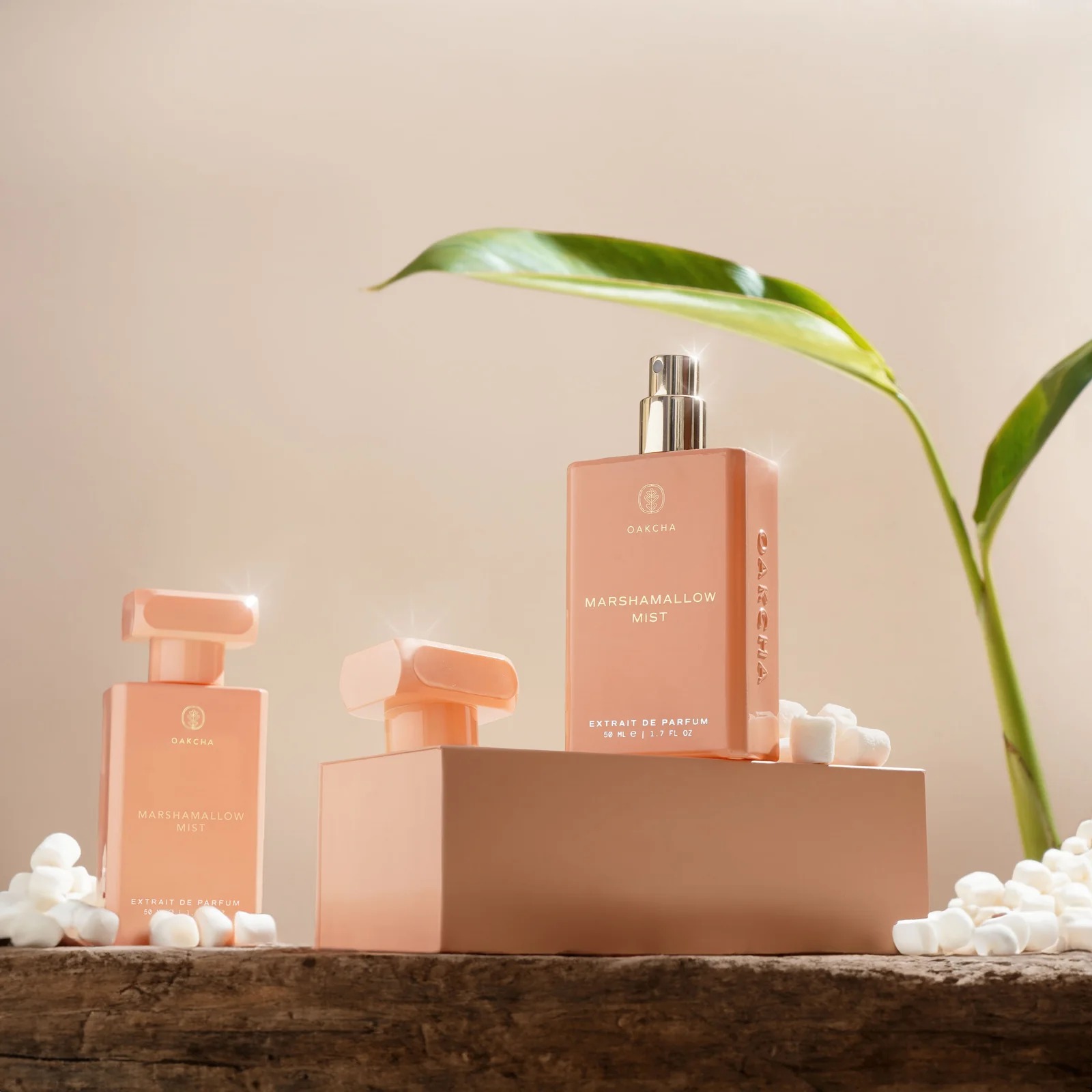 Oakcha Extrait De Parfum 50ml  - مراجعة Luxury Lifestyle Gifts وسعره